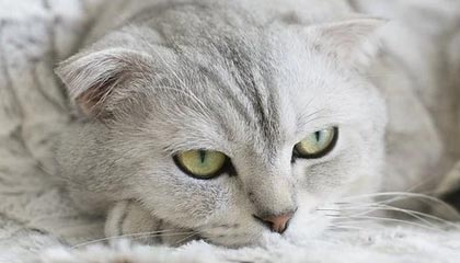 使用伴游app时如何保障个人信息安全